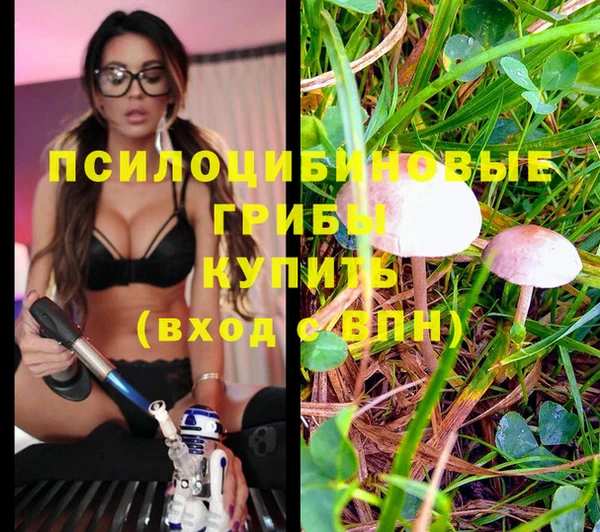 apvp Горно-Алтайск