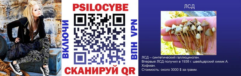 закладка  Няндома  Псилоцибиновые грибы мухоморы 